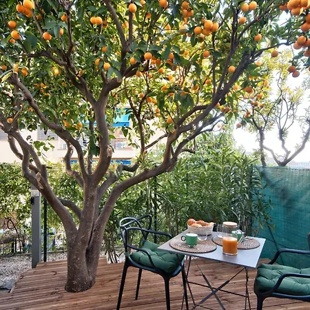 Avec Grande Terrasse Yourhosthelper Lägenhet